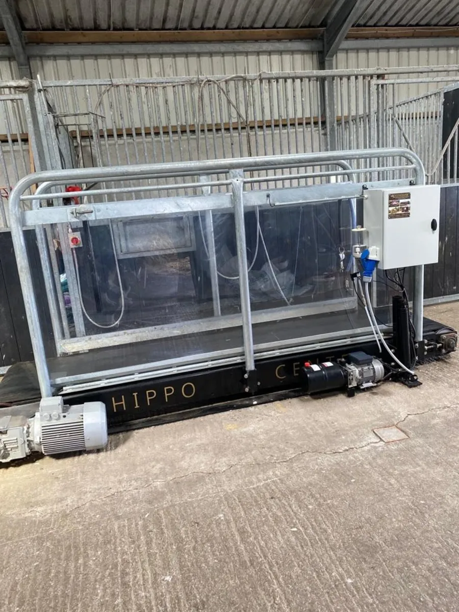 Equine treadmill - Image 1