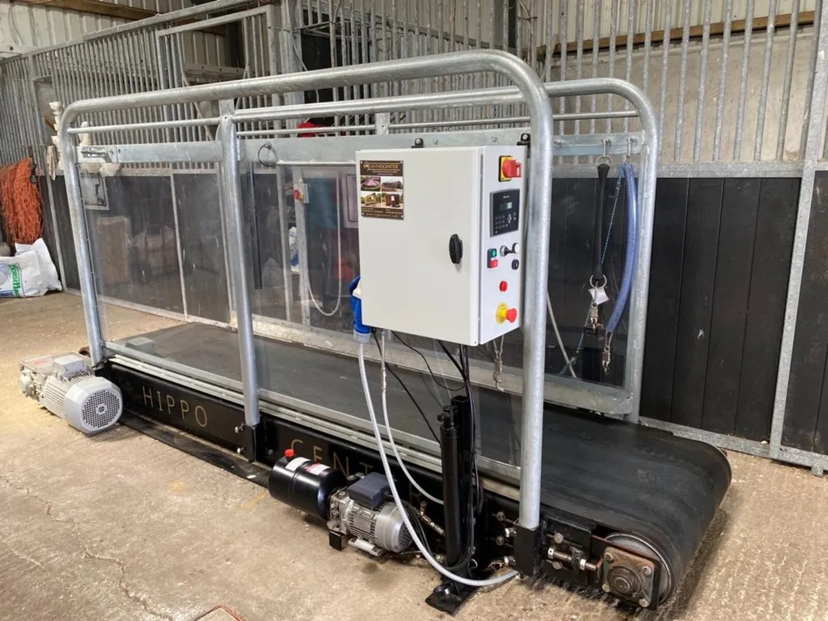 Equine treadmill - Image 2