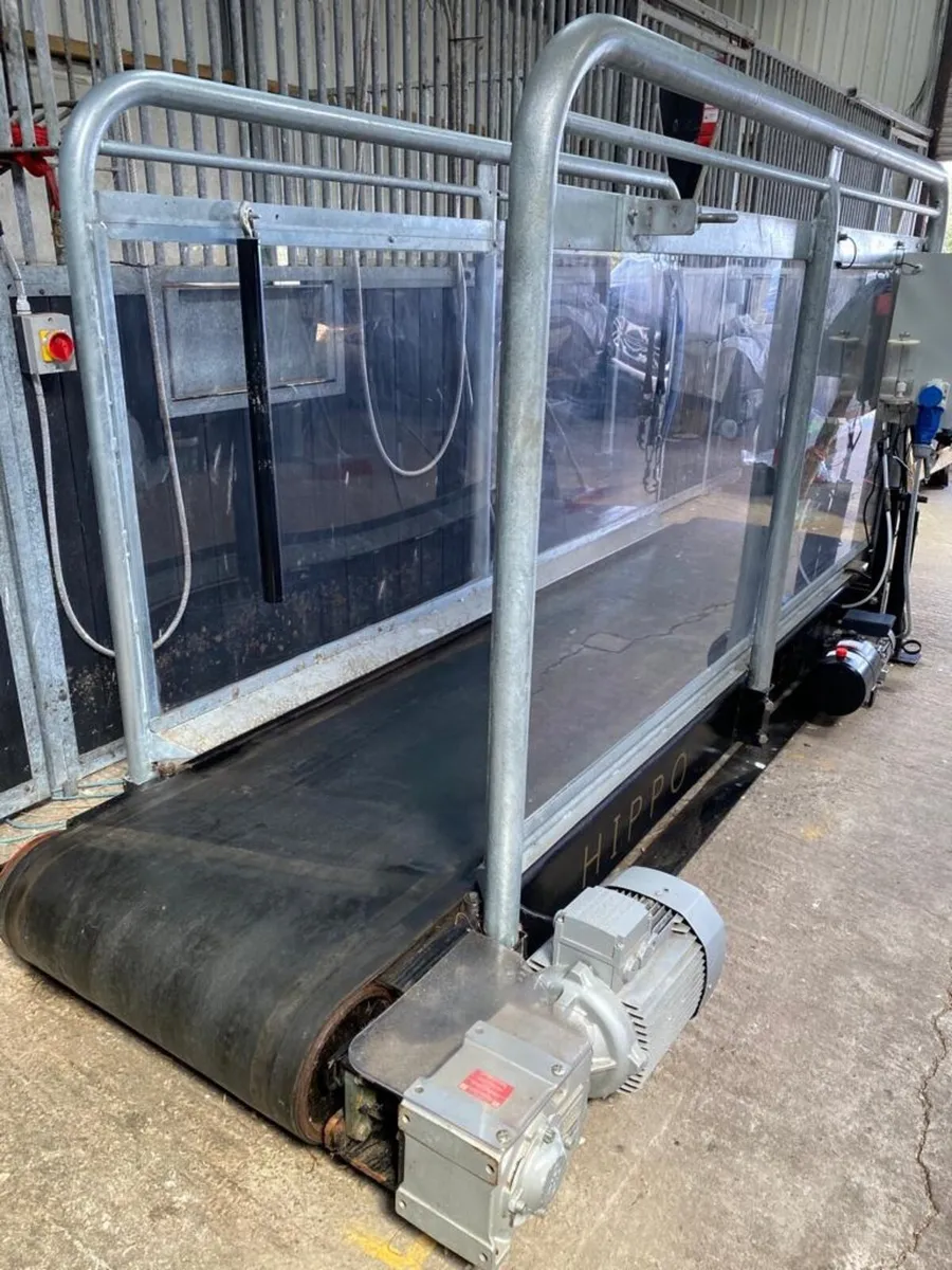 Equine treadmill - Image 3