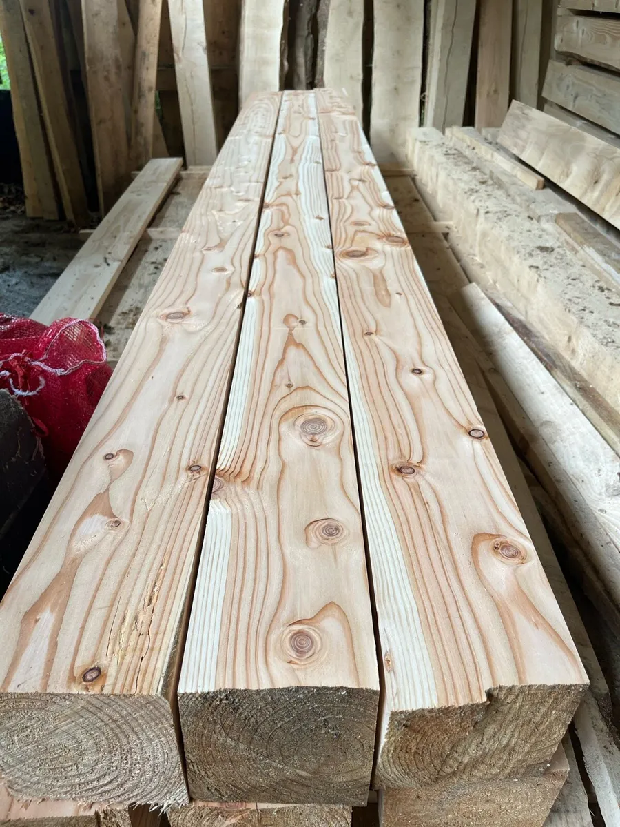 Larch beam posts - Image 1
