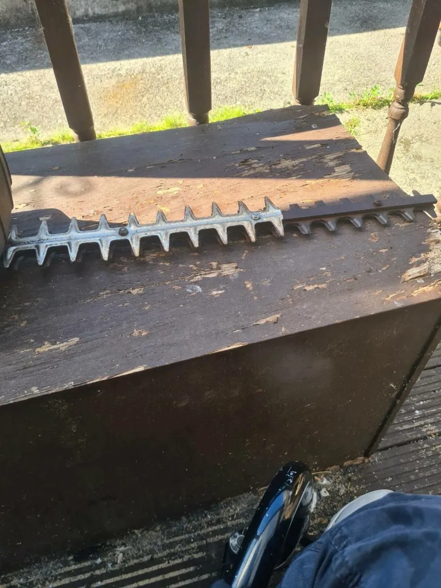 Hedge cutter - Image 3
