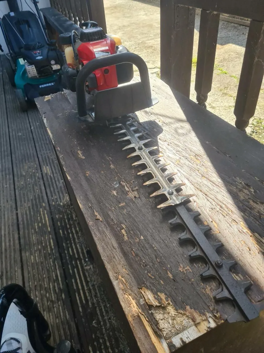 Hedge cutter - Image 4