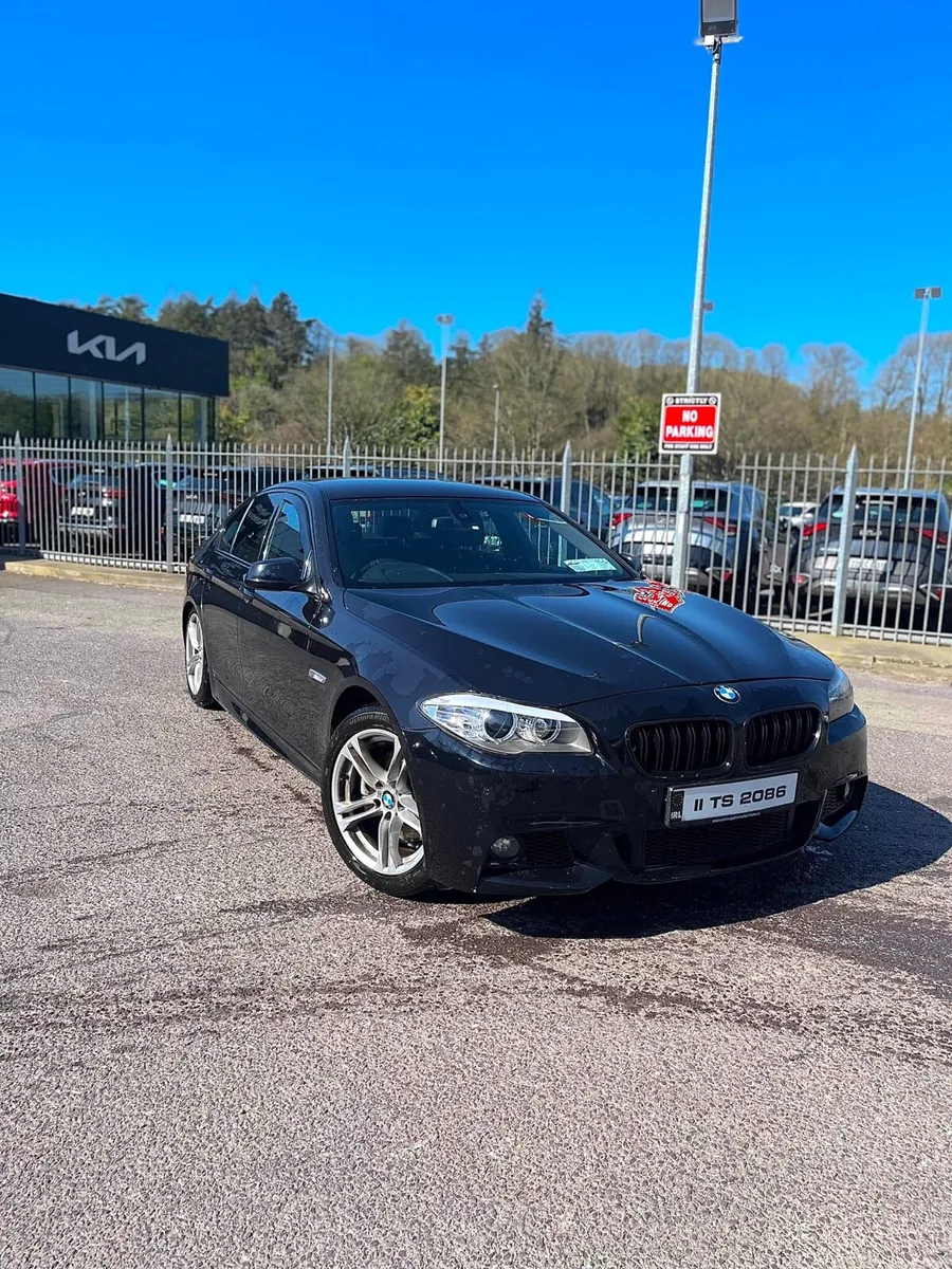 Bmw f10 520d - Image 2