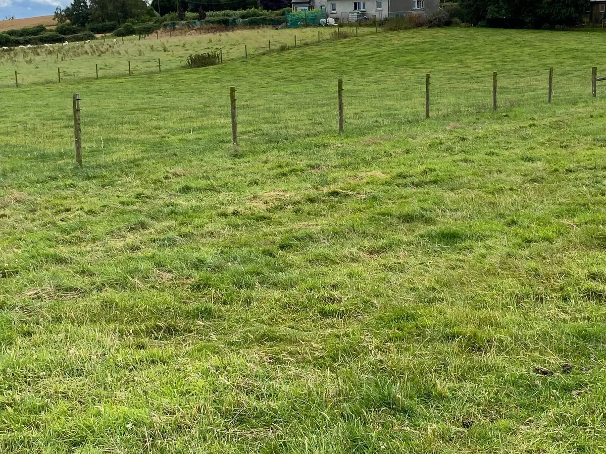 Fencing - Image 1