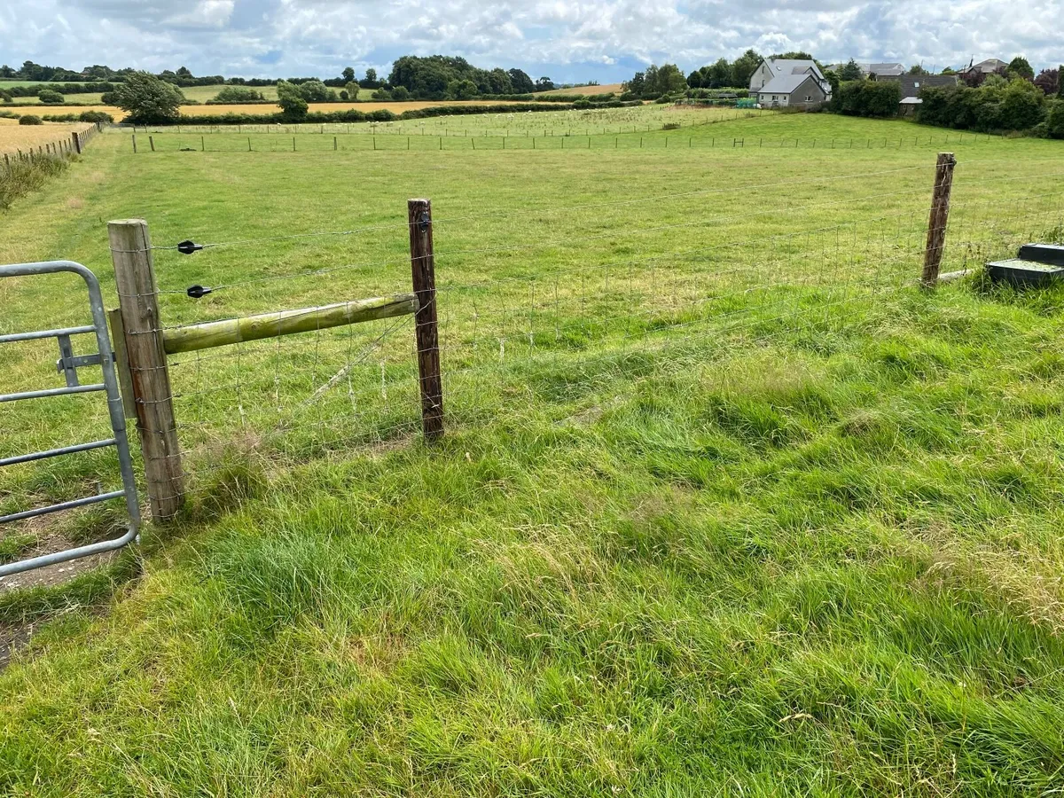 Fencing - Image 2