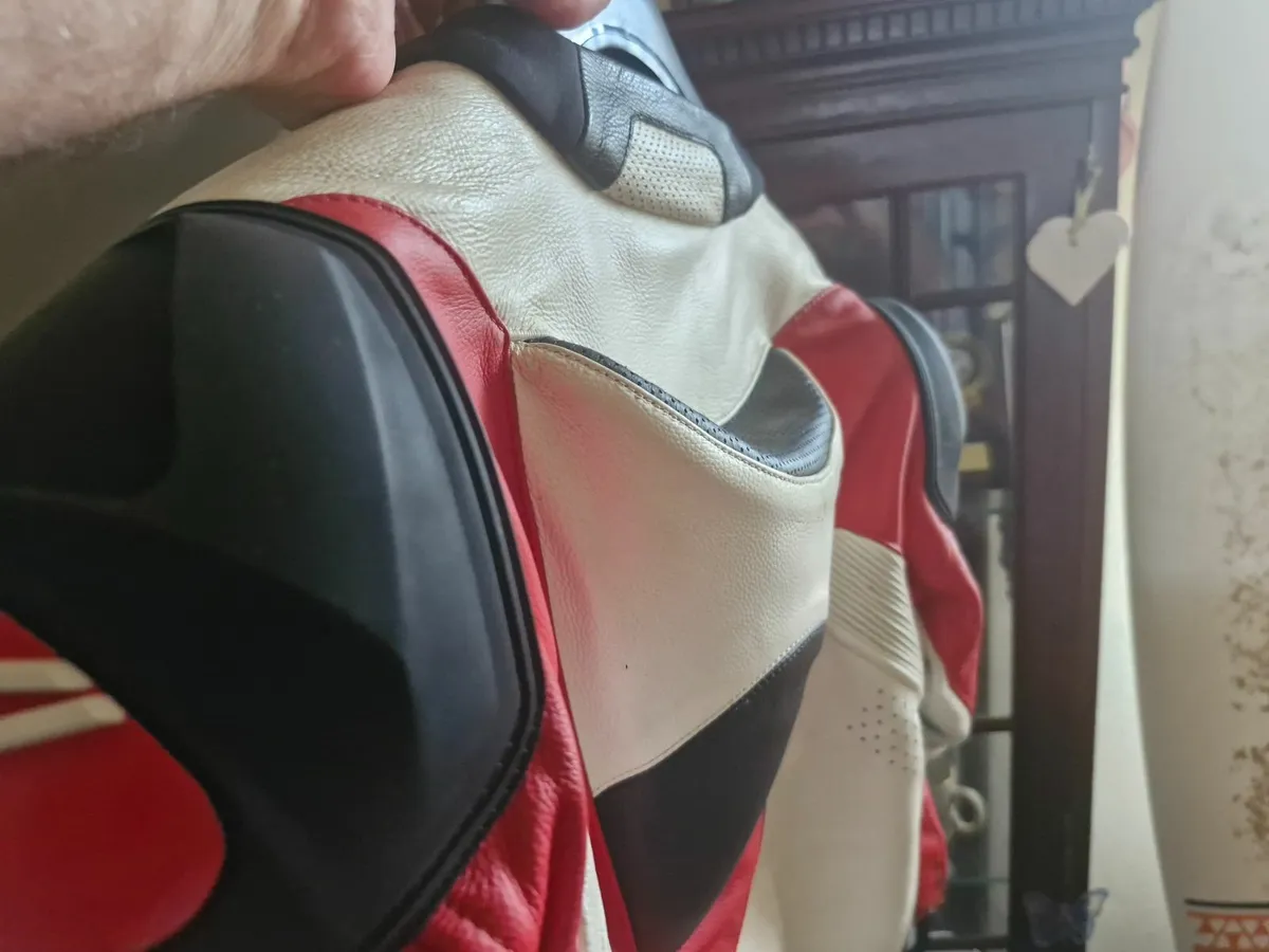 Motorbike Alpinestars leather jacket - Image 3