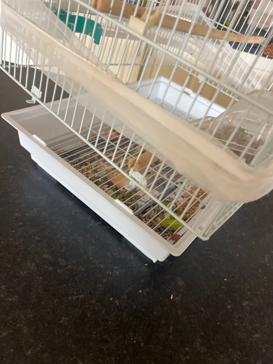 Bird cage - Image 3