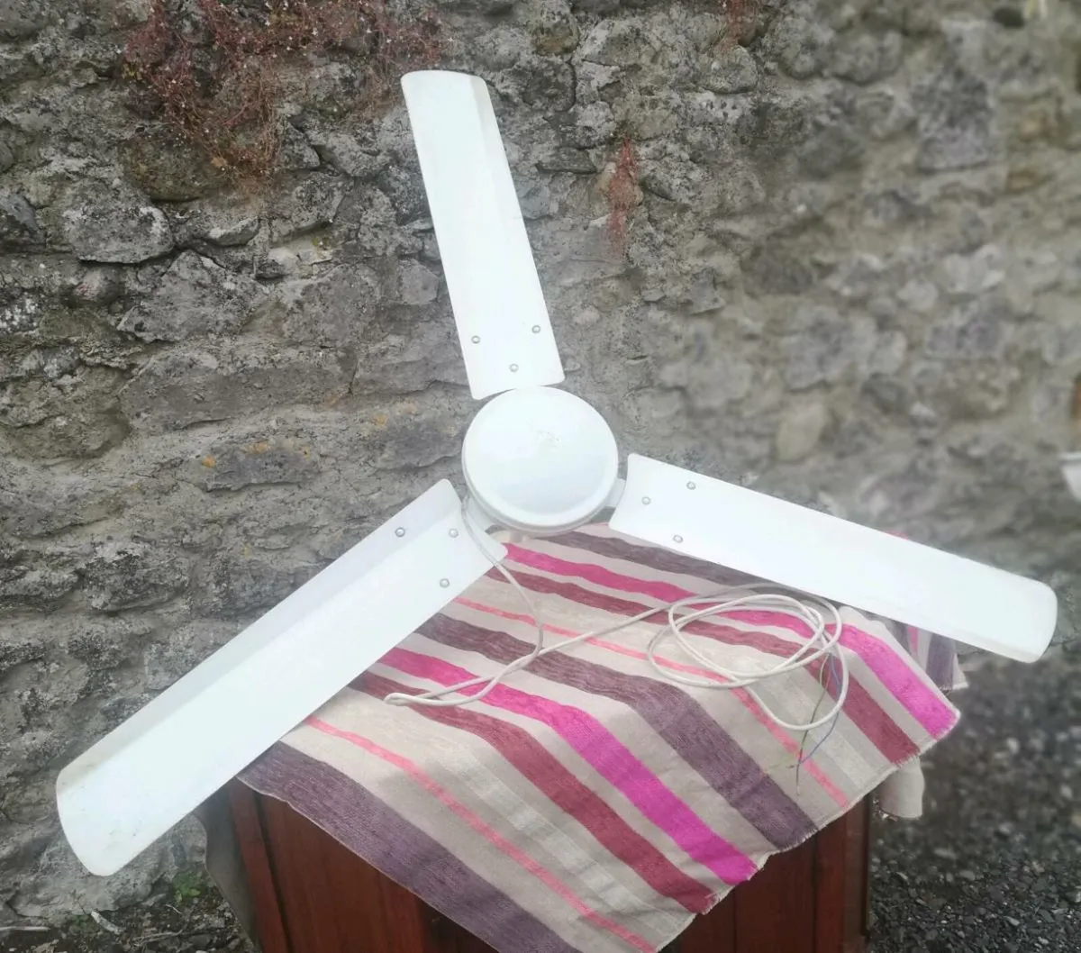 Large Ceiling fan in great working condition - Image 1