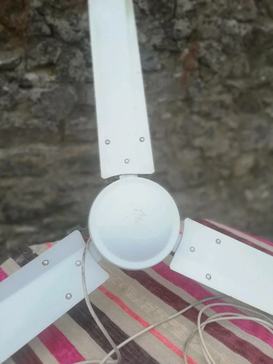 Large Ceiling fan in great working condition - Image 2