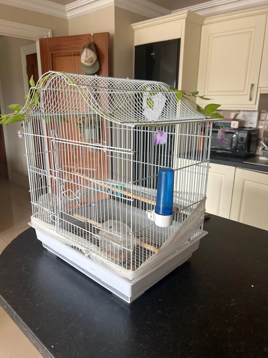 Bird cage - Image 1