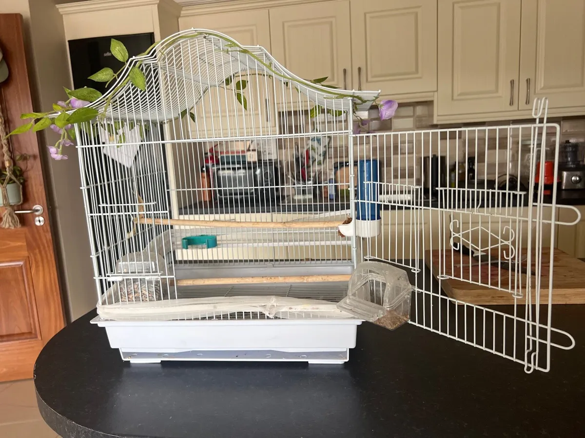 Bird cage - Image 2