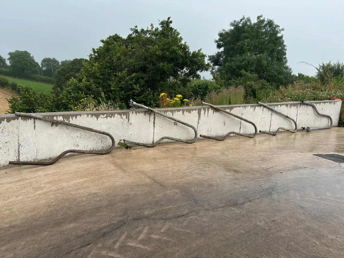 x5 Teemore Cow Cubicles - Image 2