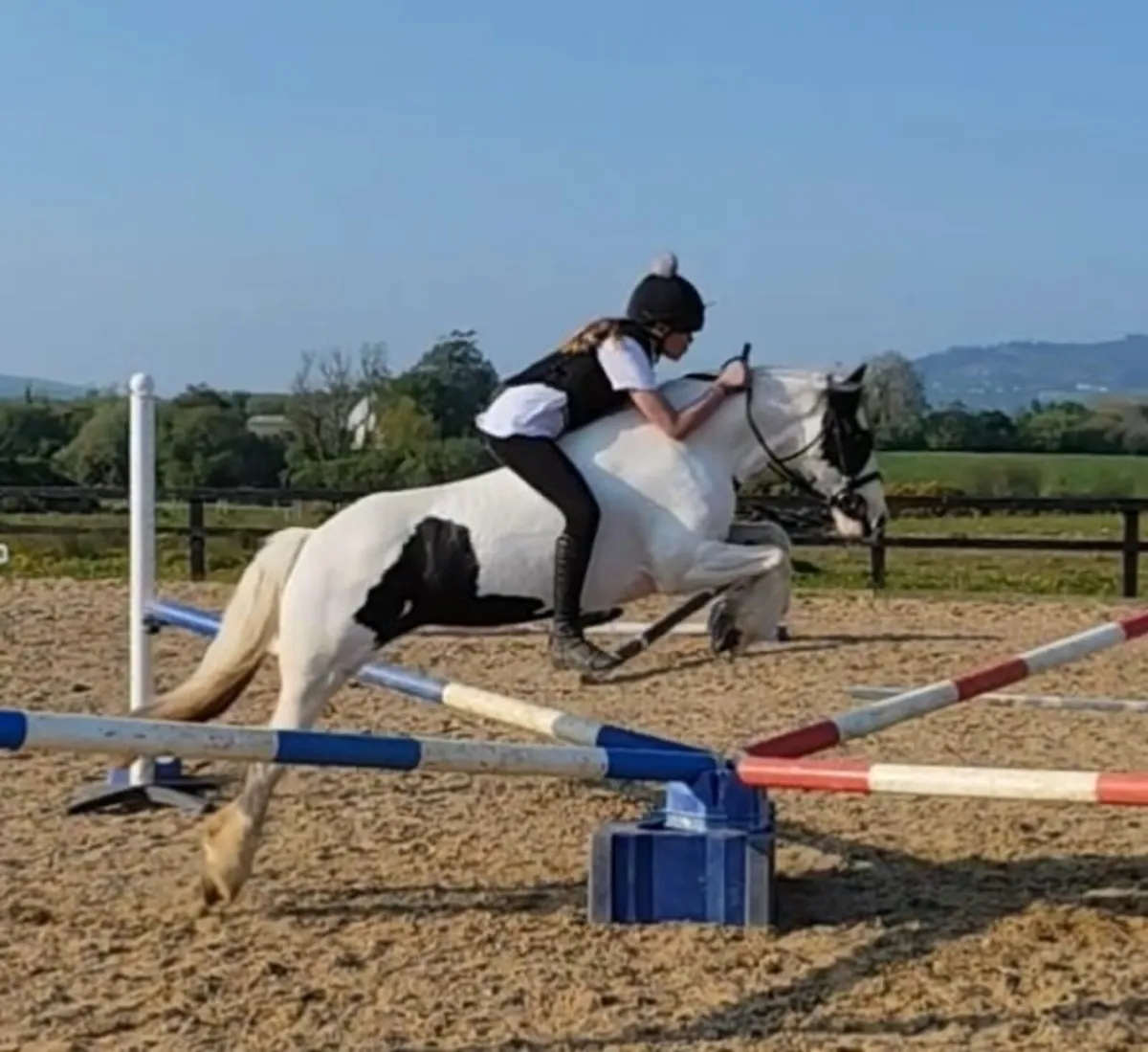 13.2hh perfect pony - Image 1