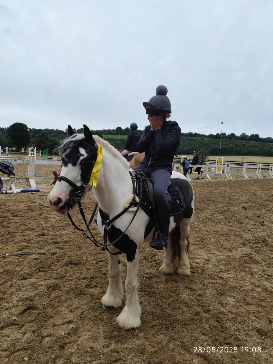 13.2hh perfect pony - Image 2