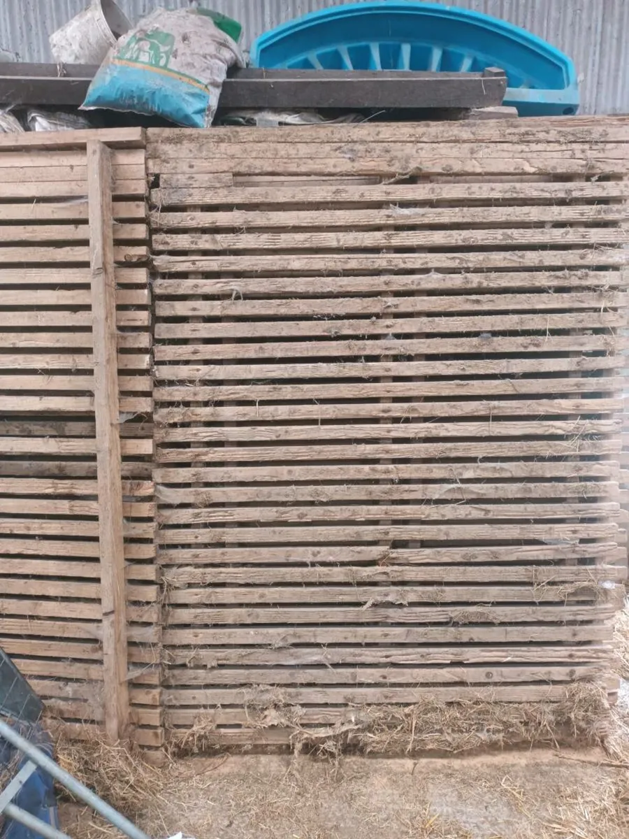 Firewood - Image 1