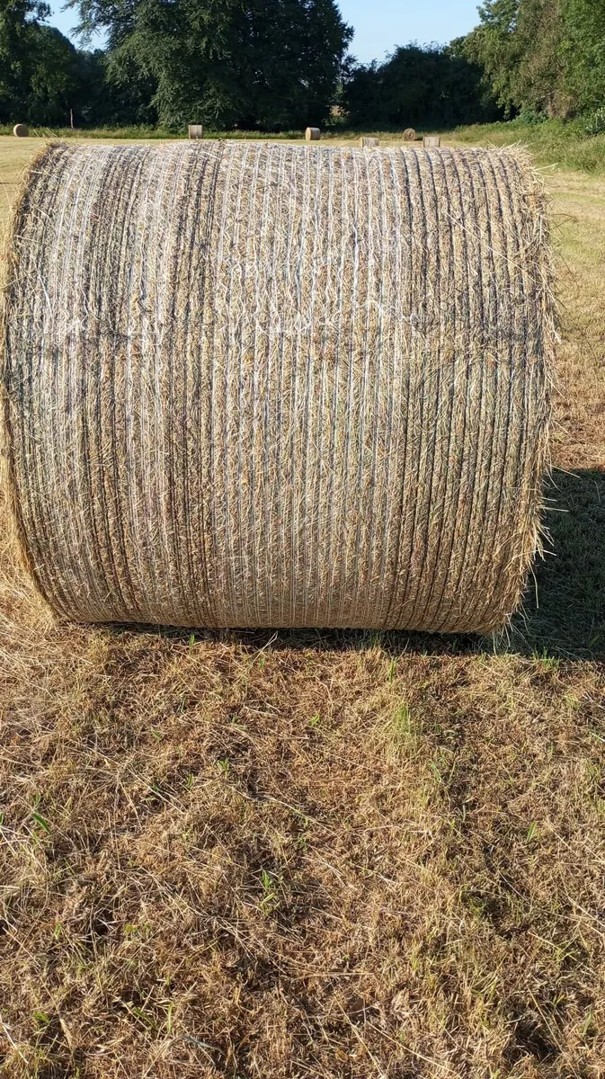 Hay bales - Image 3