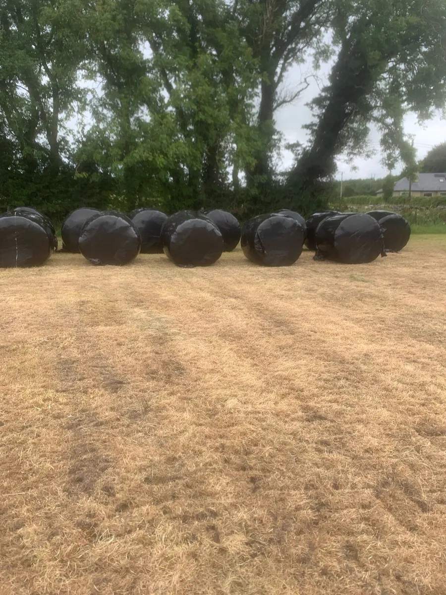 Silage bales