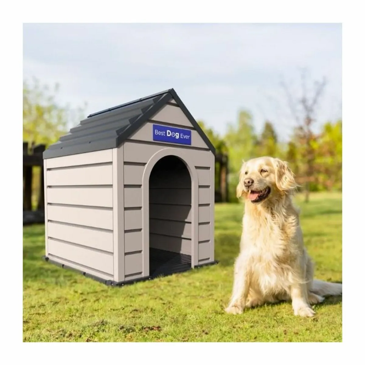 Duramax Outdoor Dog Kennel - Image 2