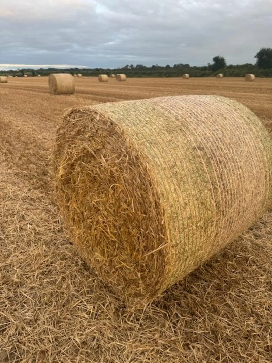 Straw - Image 1