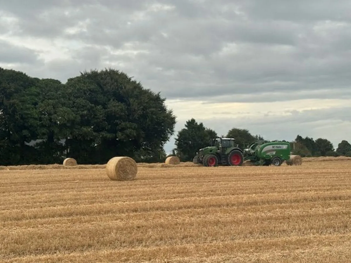 Straw - Image 2