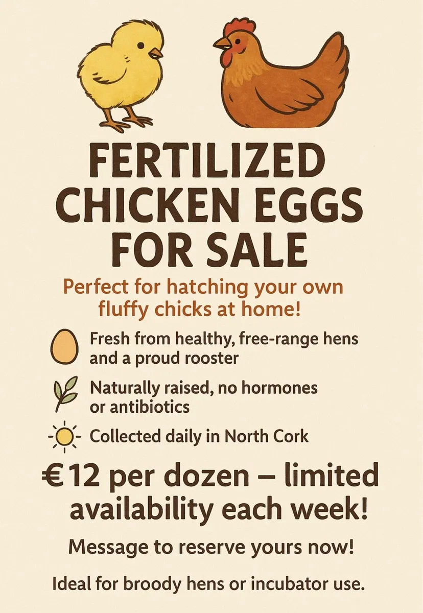 fertilised eggs
