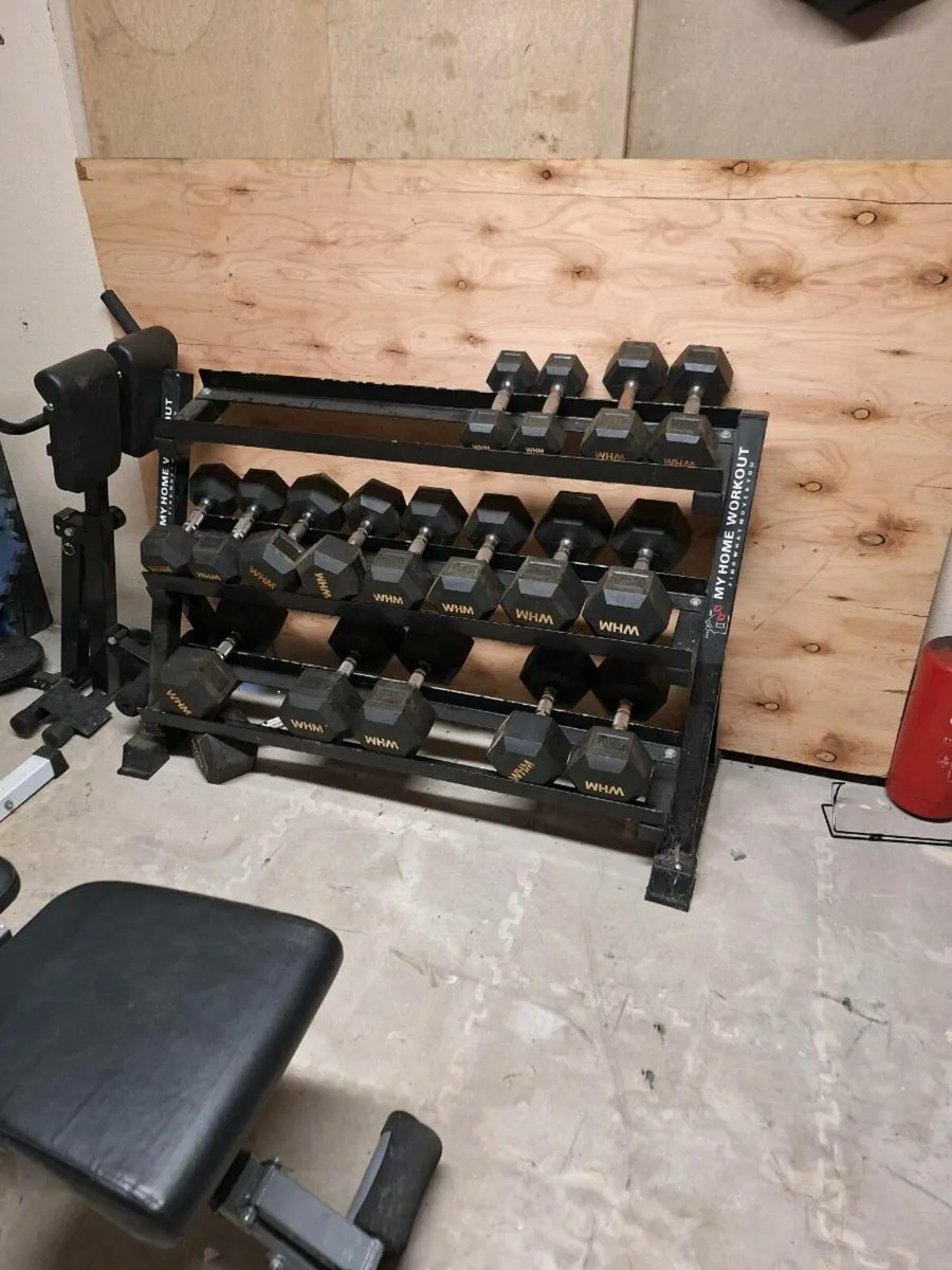 Weights - Image 2
