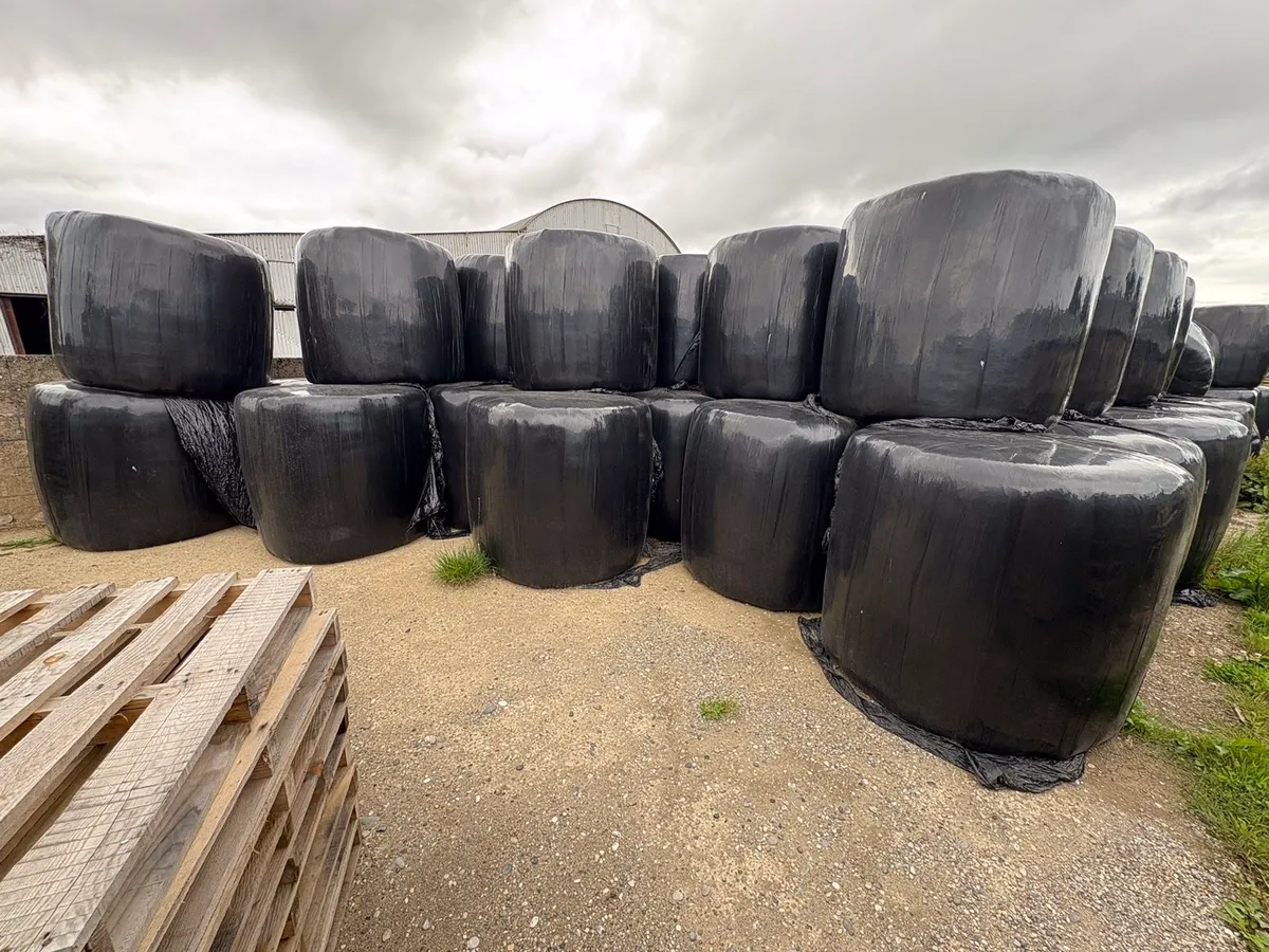 Baled silage