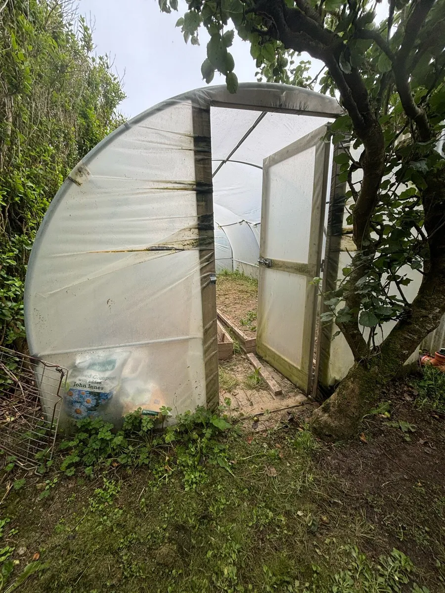 Polytunnel - Image 1