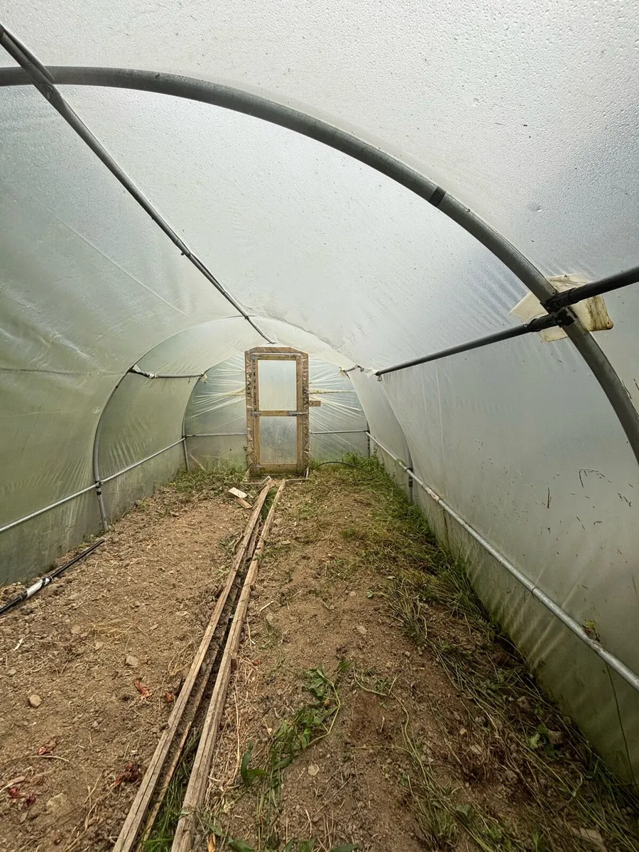 Polytunnel - Image 2