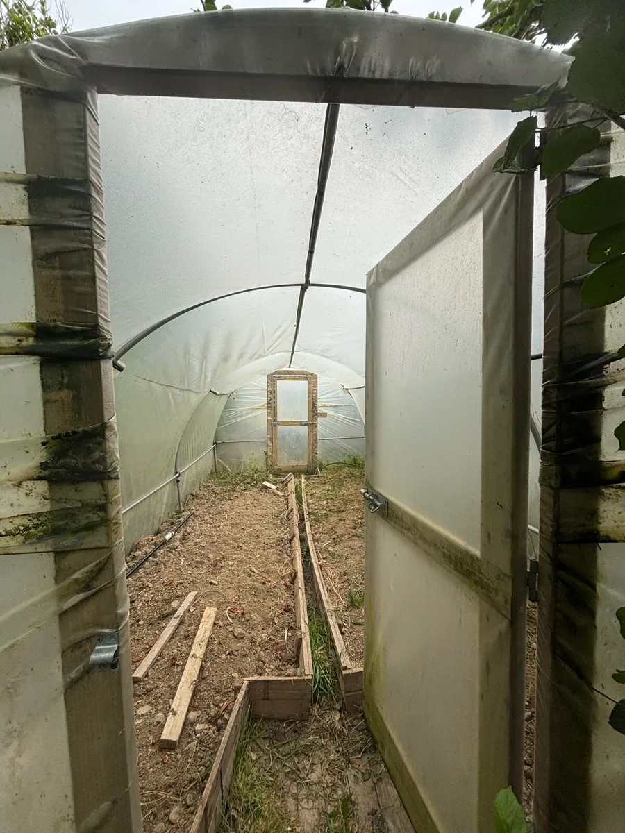 Polytunnel - Image 3