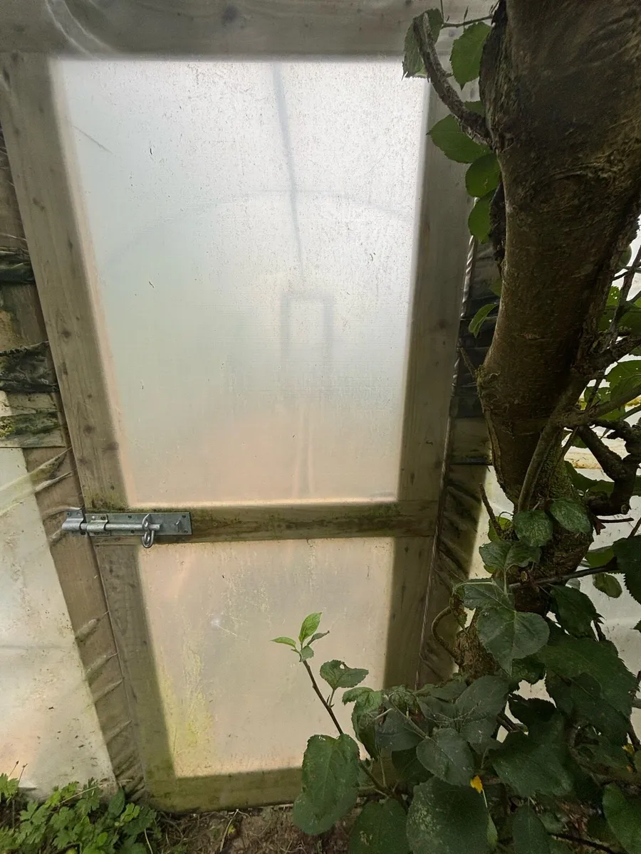 Polytunnel - Image 4