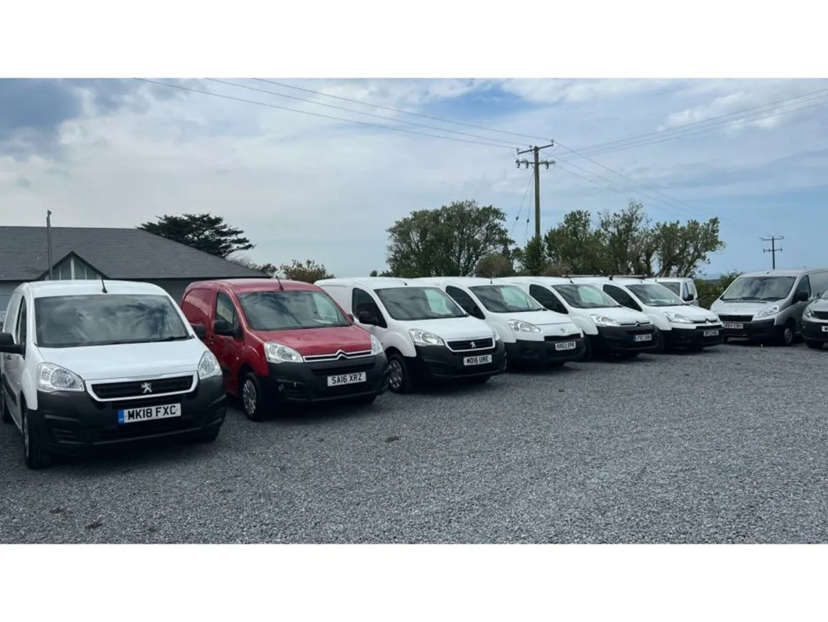 Citroen Berlingo & Peugeot Partner Vans 2010 - 202 - Image 1