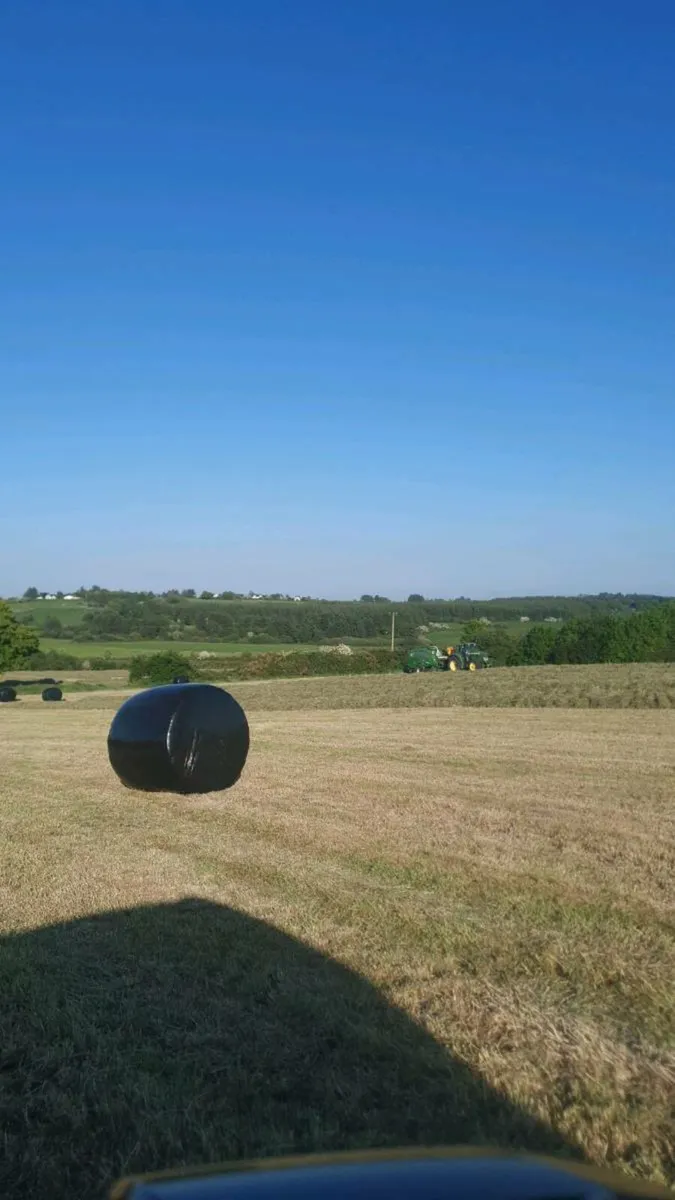 Round Bales of 2025 Haylage - Image 3