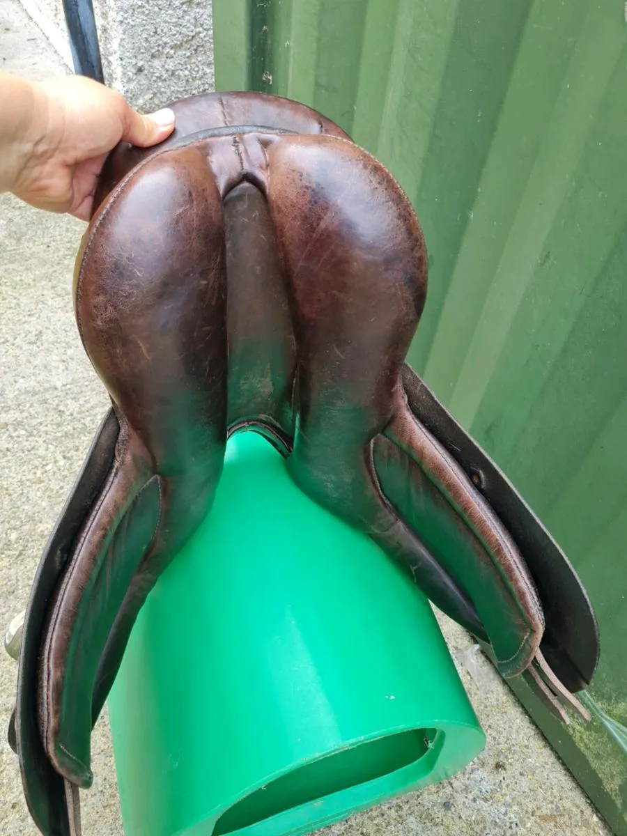 15" Berney saddle - Image 2