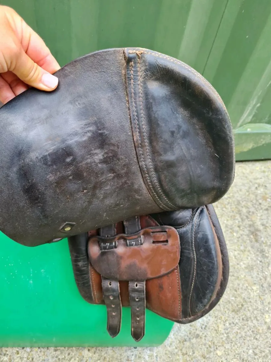 15" Berney saddle - Image 3
