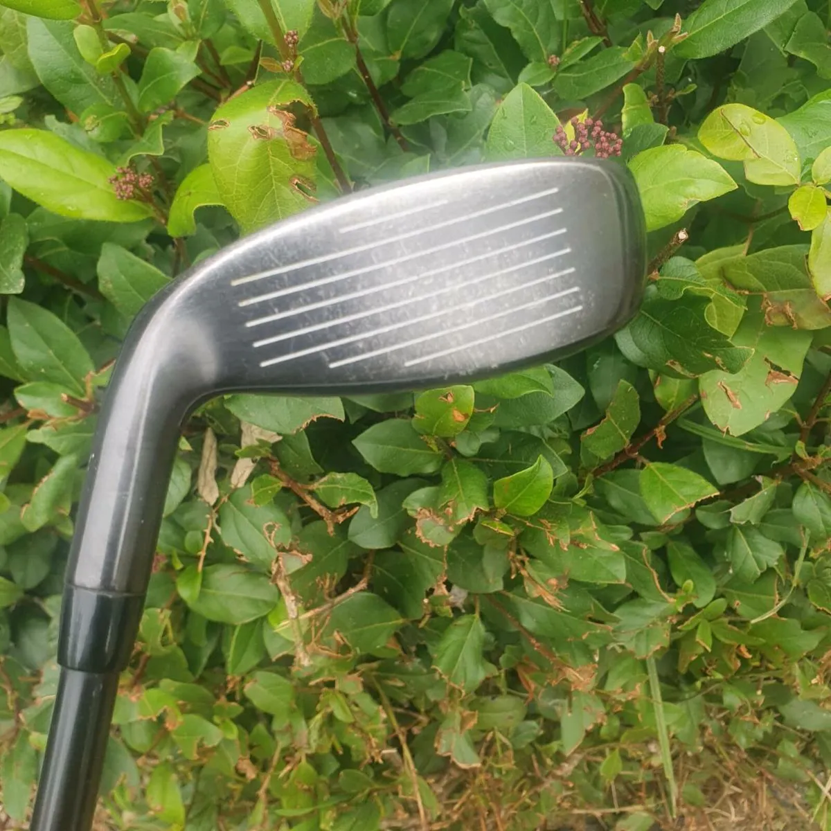 Callaway xr steel head xr rescue - Image 3