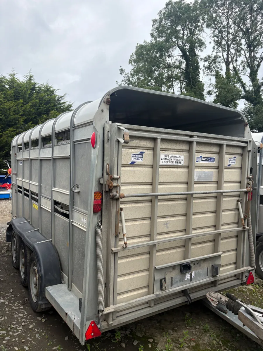 2020 ifor Williams 14ft cattle trailer - Image 2