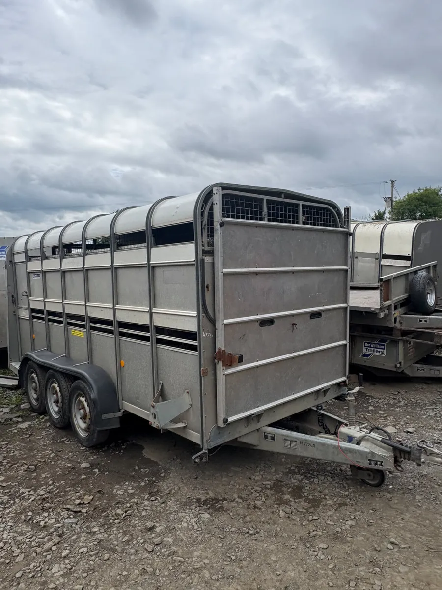 2020 ifor Williams 14ft cattle trailer - Image 1