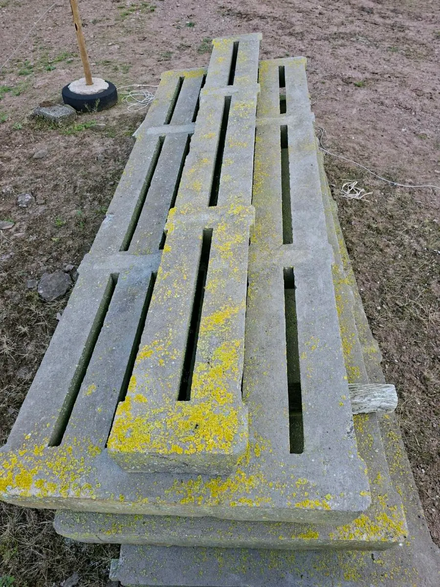 Cattle slats - Image 2