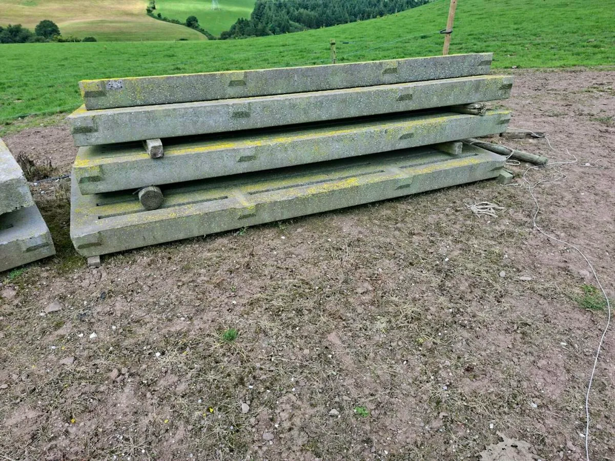 Cattle slats - Image 3