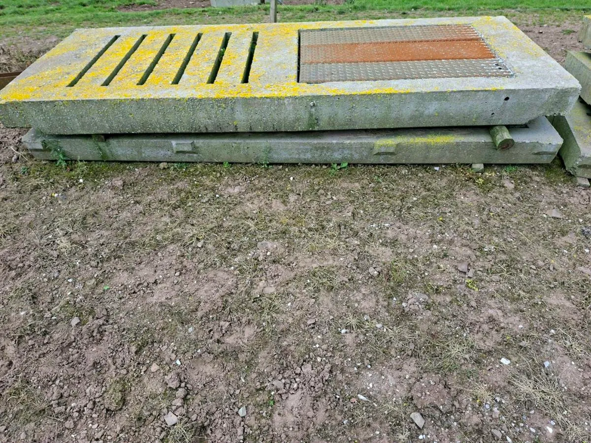 Cattle slats - Image 4
