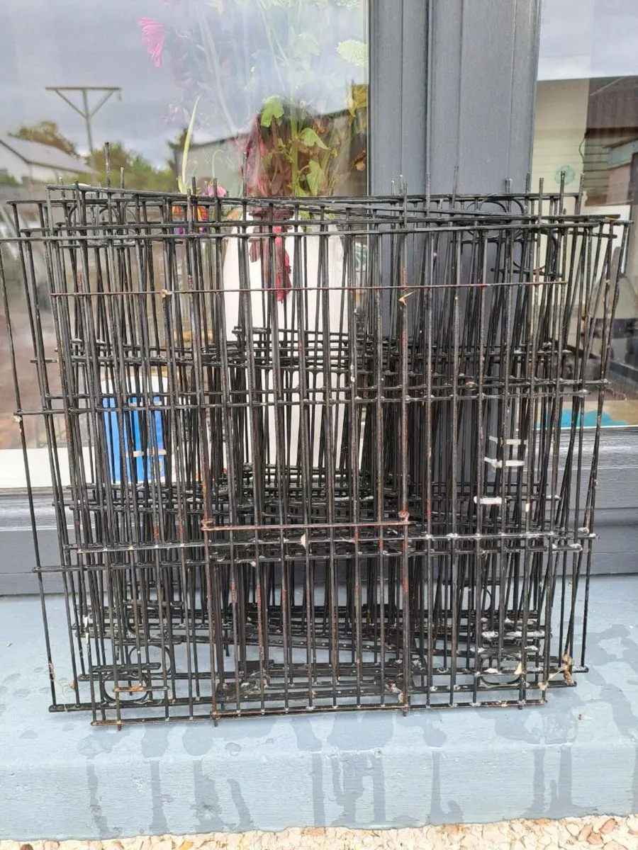 Cage Fronts - Image 2