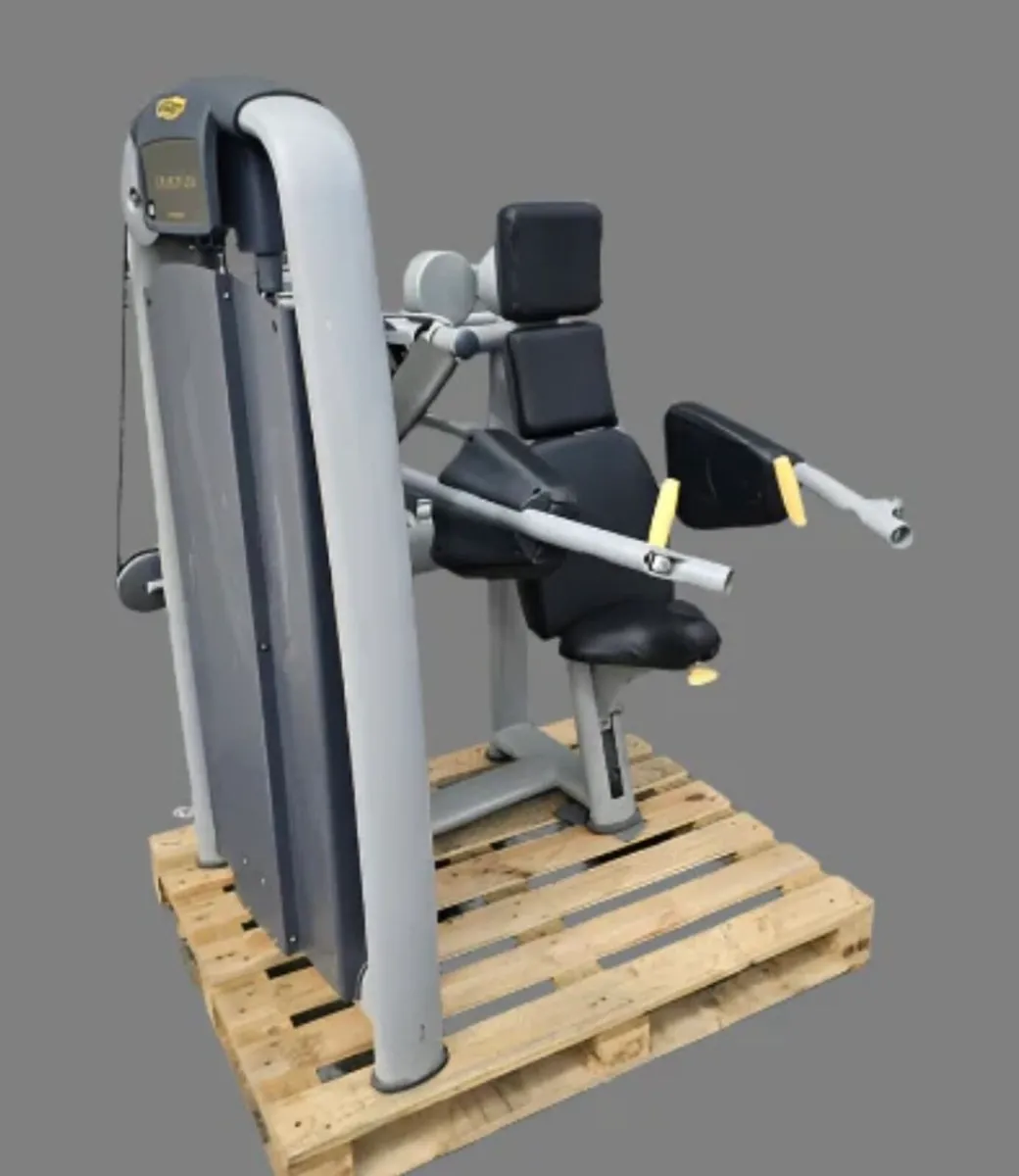 Technogym delt machine - Image 1