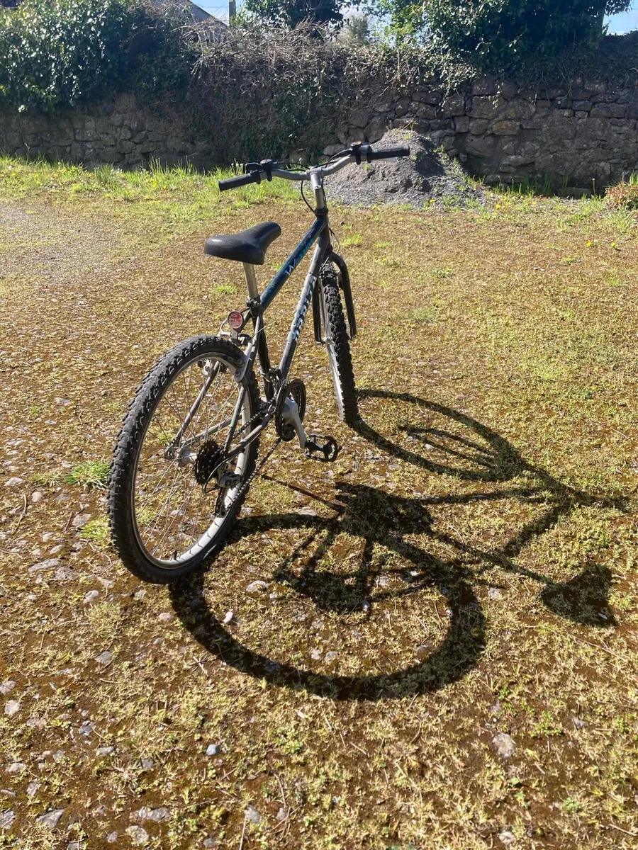 Bike - Image 2