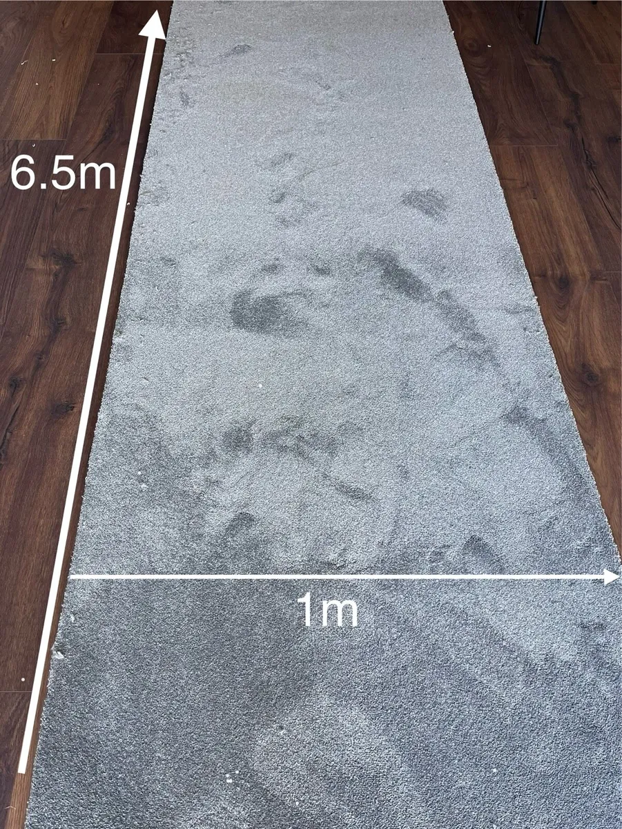 Brand New Carpet Roll —  Soft and Spongy texture - Image 1