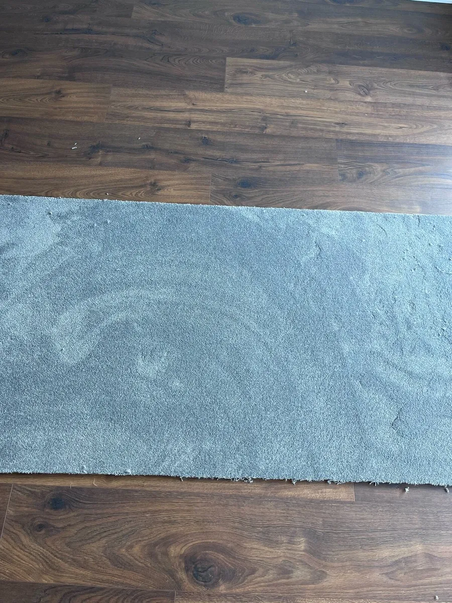 Brand New Carpet Roll —  Soft and Spongy texture - Image 2