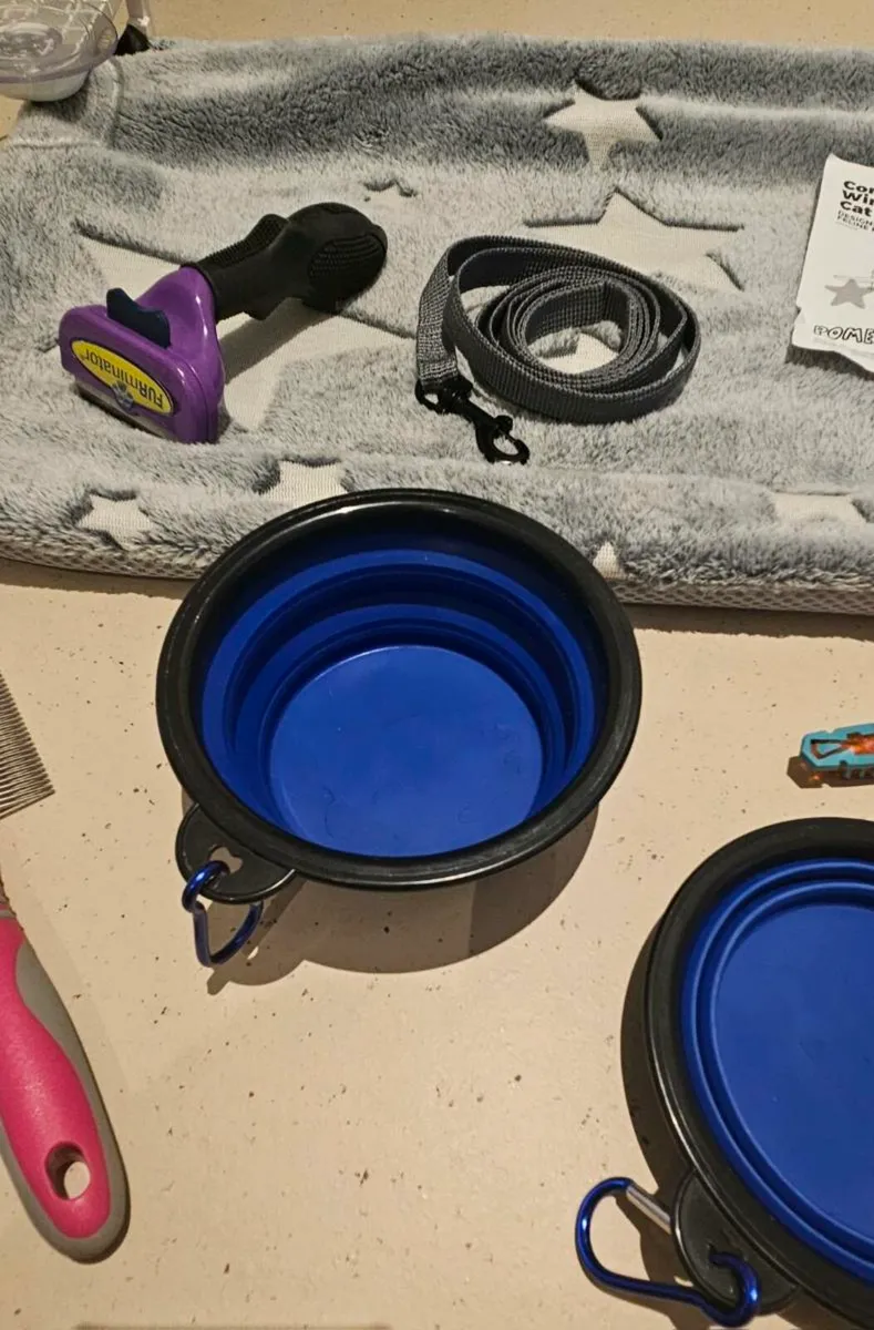cat starter pack with furminator comb bowls toys w - Image 2