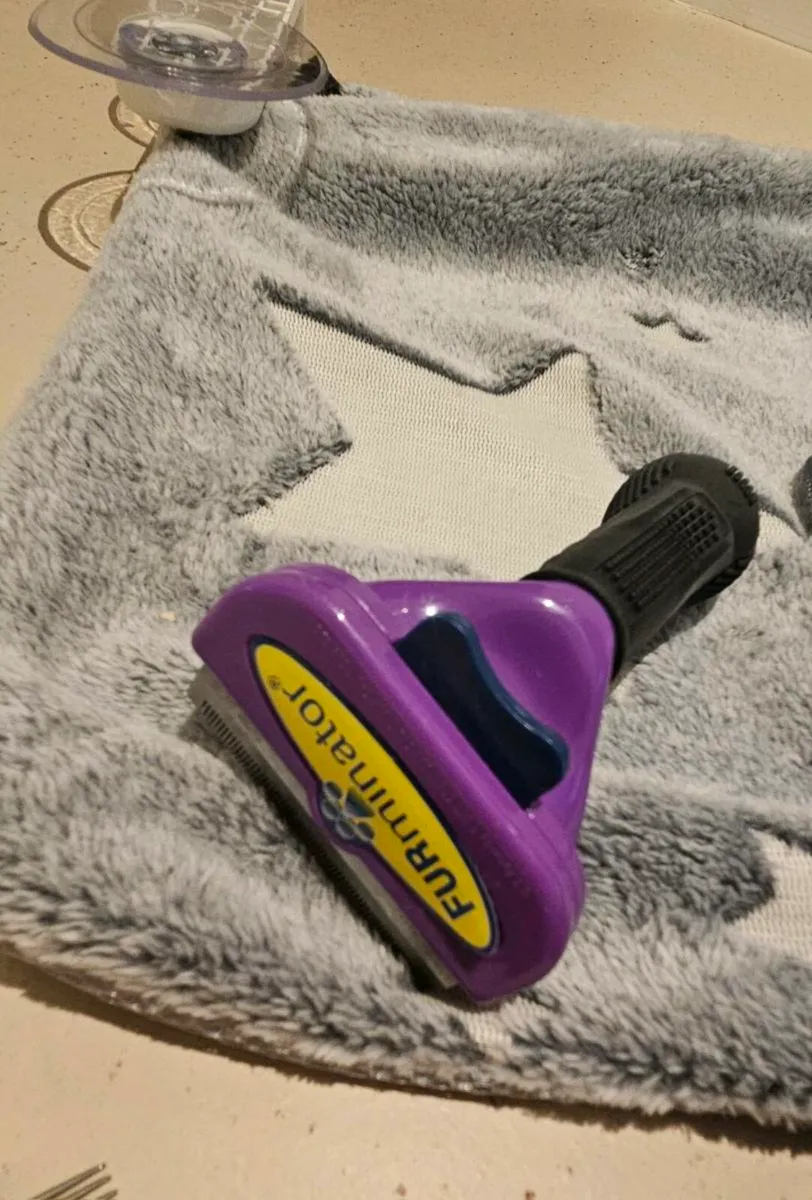 cat starter pack with furminator comb bowls toys w - Image 3