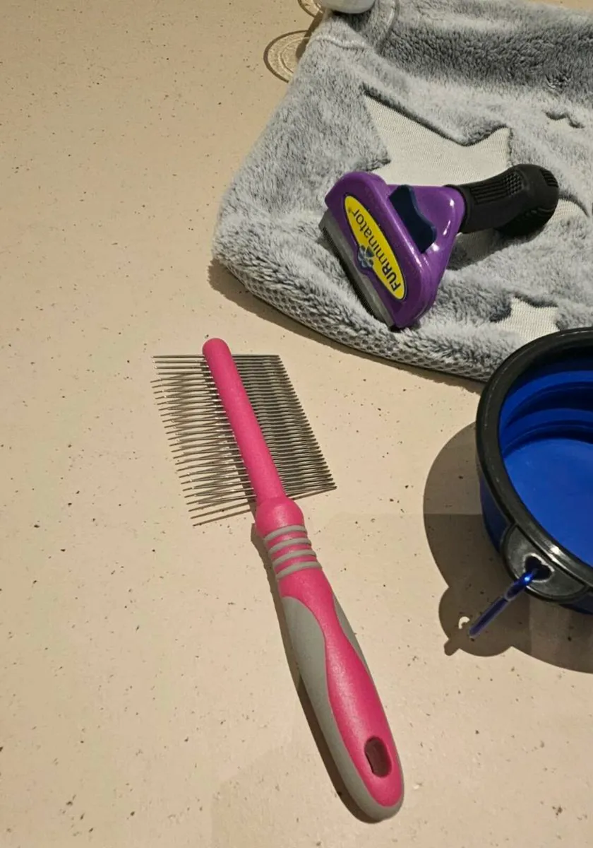 cat starter pack with furminator comb bowls toys w - Image 4