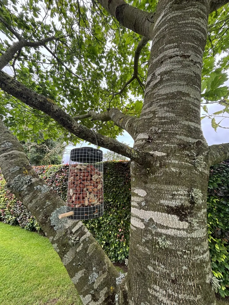 Refillable Birdfeeders (food included) - Image 4